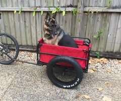 Bicycle Cargo Trailer