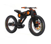 Moto Parilla Factory Carbon