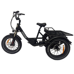 Longhauler E-Trike