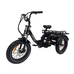 Longhauler E-Trike