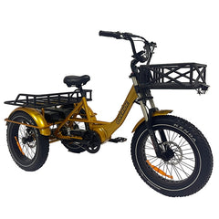 Longhauler E-Trike