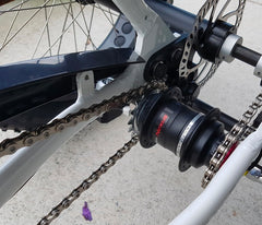 Whipper Deluxe E-Trike