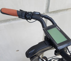 Whipper Deluxe E-Trike