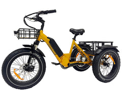 Whipper Deluxe E-Trike