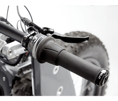 Moto Parilla Factory Carbon