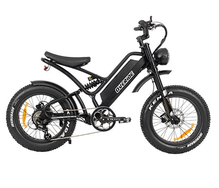 Lowrider V2 – Fat Wheel E-bikes Australia