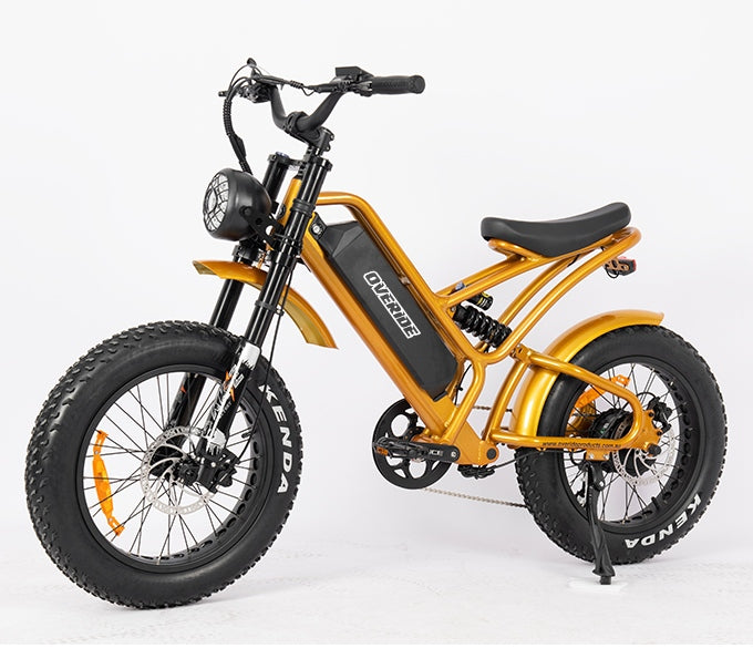 lowrider bicycle australia Lowrider V2 – Fat Wheel E-bikes Australia